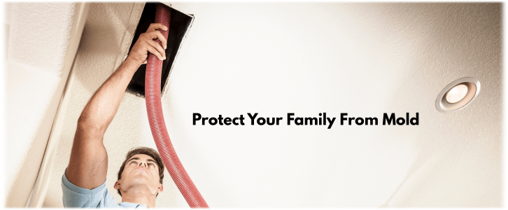 Air Duct Mold Removal in Warrenville IL